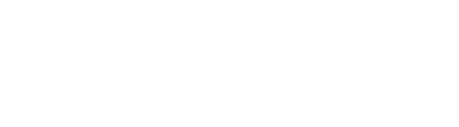 FINE.AI Logo